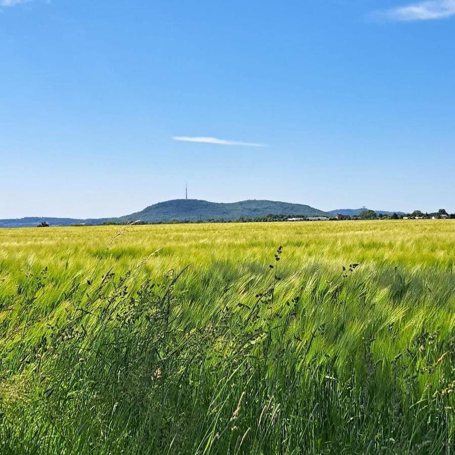 Ferienwohnung Mit Bauernhofflair Löbau Dış mekan fotoğraf